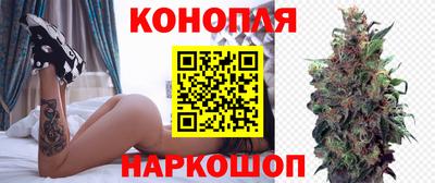 гидра Партизанск