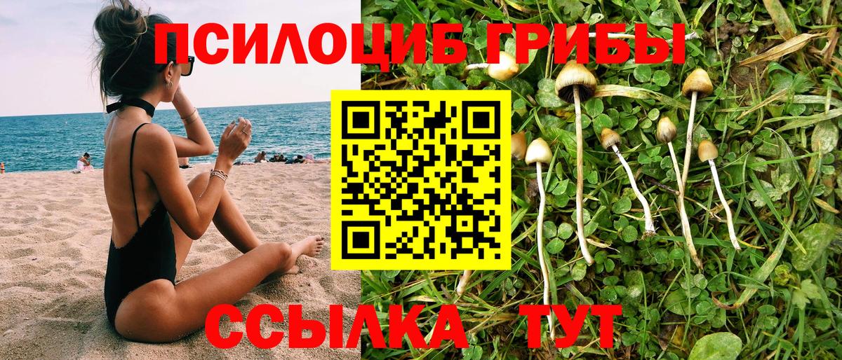 Псилоцибиновые грибы мицелий  Галлюциногенные грибы Cubensis  Асино  Вход с VPN 